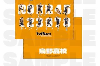 ハイキュー!! TOUCH THE DREAM クリアファイル 烏野高校
 
2025年12月1日発売
で取扱中