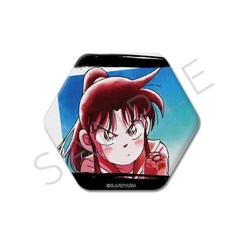 TVアニメ『YAIBA (ヤイバ)』 六角形缶バッジ D (峰 さやか2)
 
2026年02月下旬発売