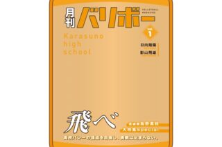 ハイキュー!! ポーチ 月刊バリボーvol.1(烏野高校)【再販】
 アニメイトで
2026年01月発売