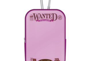 XSOLEIL 透明ポーチ ドッピオ ドロップサイト
 
2026年04月発売