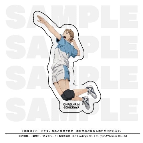 ハイキュー!! TOUCH THE DREAM ダイカットステッカー 池尻隼人
 
2025年12月1日発売