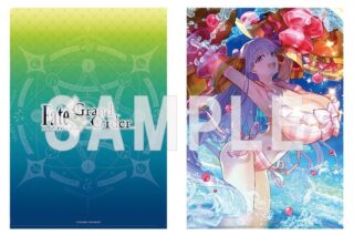 Fate/Grand Order A4クリアファイル(パッションリップ)
 アニメイトで
2026年04月発売