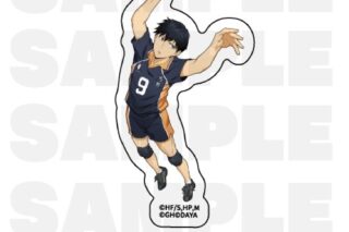 ハイキュー!! TOUCH THE DREAM ダイカットステッカー 影山飛雄(ユニフォーム)
 
2025年12月1日発売