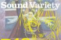 TV コードギアス  R2 Sound Variety R18 アニメイトで
2009/03/25 発売