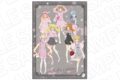 アイカツ!シリーズ ミニアクリルアート ピンク×グレー ver.
 アニメイトで
2026年02月発売