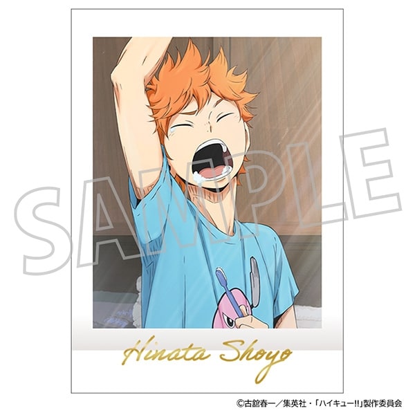 ハイキュー!! ぱしゃこれ/PREMIUM vol.3 2025年12月26日発売 で取扱