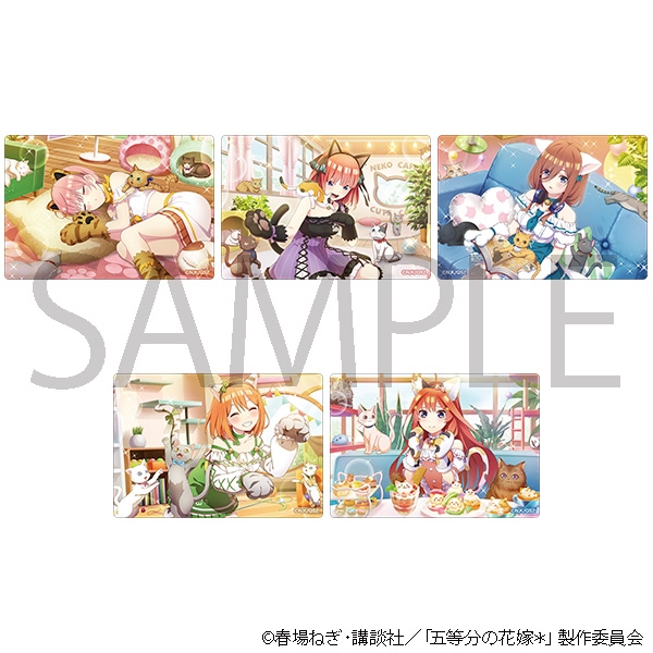 五等分の花嫁* アクリルシートコレクション(ネコカフェ)
2026年4月10日発売 五等分の花嫁* アクリルシートコレクション(ネコカフェ)
2026年4月10日発売