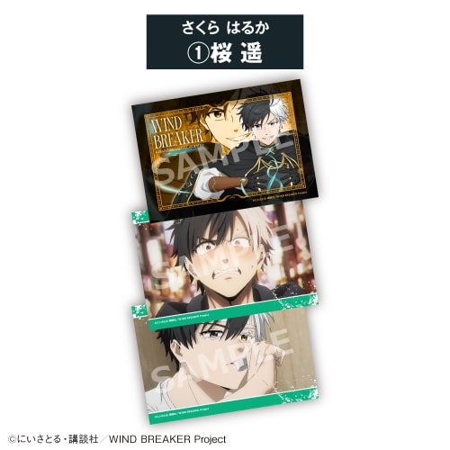 TVアニメWIND BREAKER ブロマイドセット①桜 遥<全8種・オープン>
 アニメイトで
2026年06月発売