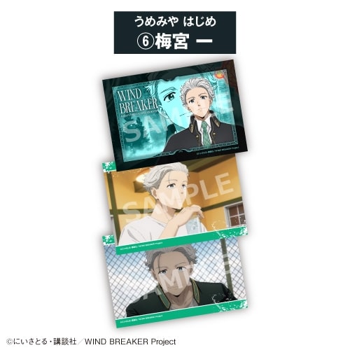 TVアニメWIND BREAKER ブロマイドセット⑥梅 宮 一<全8種・オープン>
 アニメイトで
2026年06月発売