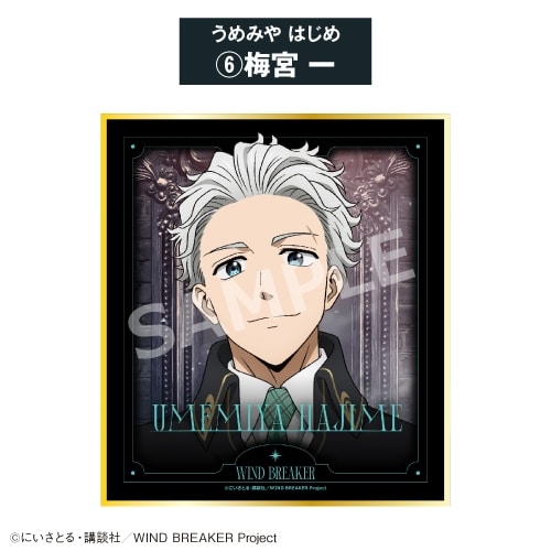 TVアニメ『ウィンドブレイカー (ウィンブレ)』 ミニ色紙⑥梅 宮 一<全8種・オープン>【カラオケの鉄人コラボ Vol.2】
 
2026年06月発売
