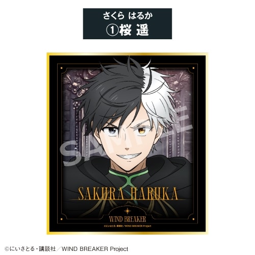 TVアニメWIND BREAKER ミニ色紙①桜 遥<全8種・オープン>
 アニメイトで
2026年06月発売