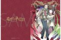 ハリーポッター クリアファイル/クィディッチ(ハーマイオニー・グレンジャー) ムービックで2026年7月4日より発売 ハリーポッター クリアファイル/クィディッチ(ハーマイオニー・グレンジャー) ムービックで2026年7月4日より発売