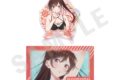 彼女、お借りします (かのかり) オーロラステッカーセット リデザイン(水原千鶴)
2025年12月発売
アニメイトで取扱中 彼女、お借りします (かのかり) オーロラステッカーセット リデザイン(水原千鶴)
2025年12月発売
アニメイトで取扱中