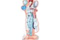 魔入りました!入間くん アクリルスタンド オペラ Spoon
2026年07月上旬発売
で取扱中 (アニメイト) 魔入りました!入間くん アクリルスタンド オペラ Spoon
2026年07月上旬発売
で取扱中 (アニメイト)