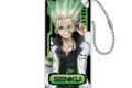 Dr.STONE サイバーパンク ドミテリアキーチェーン 石神千空【再販】
アニメイトで
2026年06月発売 Dr.STONE サイバーパンク ドミテリアキーチェーン 石神千空【再販】
アニメイトで
2026年06月発売