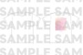 ミュージカル「ヘタリア~The World Concert~」 LIVE Tシャツ WHITE ver.
アニメイトで
2026年05月下旬発売 ミュージカル「ヘタリア~The World Concert~」 LIVE Tシャツ WHITE ver.
アニメイトで
2026年05月下旬発売
