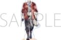 葬送のフリーレン アクリルスタンド/Art-Pic シュタルク
2026年7月24日発売
で取扱中 (アニメイト) 葬送のフリーレン アクリルスタンド/Art-Pic シュタルク
2026年7月24日発売
で取扱中 (アニメイト)