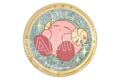 星のカービィ KIRBY ホロスコープ・コレクション キラキラガラスマグネット A おひつじ座【再販】
2026年08月中旬発売 星のカービィ KIRBY ホロスコープ・コレクション キラキラガラスマグネット A おひつじ座【再販】
2026年08月中旬発売