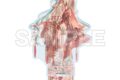 ピアプロキャラクターズ cosmetics 音彩ノ粧 アクリルスタンド 初音ミク
2026年09月下旬発売 ピアプロキャラクターズ cosmetics 音彩ノ粧 アクリルスタンド 初音ミク
2026年09月下旬発売