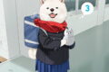 犬田さん 3巻
2026年6月22日
発売 犬田さん 3巻
2026年6月22日
発売