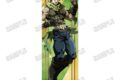 アニメ『ジョジョの奇妙な冒険 戦闘潮流』 等身大タペストリー①ジョセフ・ジョースター アニメイトで
2026年10月 上旬 発売 アニメ『ジョジョの奇妙な冒険 戦闘潮流』 等身大タペストリー①ジョセフ・ジョースター アニメイトで
2026年10月 上旬 発売