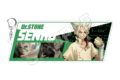 Dr.STONE NEW WORLD アクリルキーホルダーBIG 石神千空【再販】
アニメイトで
2026年08月発売 Dr.STONE NEW WORLD アクリルキーホルダーBIG 石神千空【再販】
アニメイトで
2026年08月発売