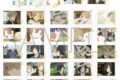 夏目友人帳 ぱしゃこれプレミアム(全30種)
2026年9月11日発売 夏目友人帳 ぱしゃこれプレミアム(全30種)
2026年9月11日発売