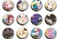 魔法少女にあこがれて トレーディング場面写バッジ
2026年11月発売 魔法少女にあこがれて トレーディング場面写バッジ
2026年11月発売