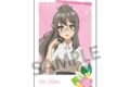 青春ブタ野郎シリーズ 描き下ろしインスタントフォト風ステッカー 双葉理央 バカンス ver.
2026年10月発売
で取扱中 青春ブタ野郎シリーズ 描き下ろしインスタントフォト風ステッカー 双葉理央 バカンス ver.
2026年10月発売
で取扱中