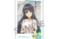 青春ブタ野郎シリーズ 描き下ろしインスタントフォト風ステッカー 桜島麻衣 バカンス ver.
2026年10月発売
で取扱中 青春ブタ野郎シリーズ 描き下ろしインスタントフォト風ステッカー 桜島麻衣 バカンス ver.
2026年10月発売
で取扱中