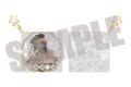 桃源暗鬼 トゥインクルキーホルダー 皇后崎 迅 JIANGSHI ver.【再販】
2026年10月上旬発売 桃源暗鬼 トゥインクルキーホルダー 皇后崎 迅 JIANGSHI ver.【再販】
2026年10月上旬発売