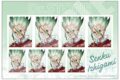 Dr.STONE 証明写真風ステッカー ホワイマンといっしょver. 石神千空
アニメイトで
2026/08/08 発売 Dr.STONE 証明写真風ステッカー ホワイマンといっしょver. 石神千空
アニメイトで
2026/08/08 発売