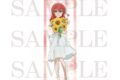ぼっち・ざ・ろっく! B2半裁タペストリー(喜多郁代)【再販】
2026年10月発売 ぼっち・ざ・ろっく! B2半裁タペストリー(喜多郁代)【再販】
2026年10月発売
