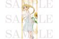 ぼっち・ざ・ろっく! B2半裁タペストリー(伊地知虹夏)【再販】
2026年10月発売
で取扱中 (アニメイト) ぼっち・ざ・ろっく! B2半裁タペストリー(伊地知虹夏)【再販】
2026年10月発売
で取扱中 (アニメイト)
