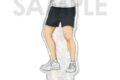 ハイキュー!! ホログラムアクリルスタンド~スイカ~ 2.影山飛雄
アニメイトで
2026年09月発売 ハイキュー!! ホログラムアクリルスタンド~スイカ~ 2.影山飛雄
アニメイトで
2026年09月発売