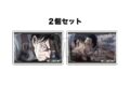 進撃の巨人 つみこま 2種セット vol.2 18
2026年11月発売 進撃の巨人 つみこま 2種セット vol.2 18
2026年11月発売