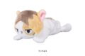 ハイキュー!! ぬいぐるみペンポーチ(ケンマネコ)
2026年12月発売
で取扱中 ハイキュー!! ぬいぐるみペンポーチ(ケンマネコ)
2026年12月発売
で取扱中