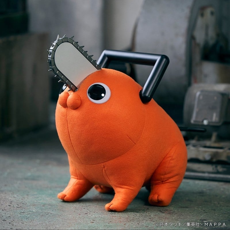 1789581454_resize_image.jpeg