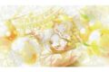 プロセカ Anniversary/Birthdayイラスト2024-2025 ポスター 鏡音レン
2027年1月30日発売 プロセカ Anniversary/Birthdayイラスト2024-2025 ポスター 鏡音レン
2027年1月30日発売
