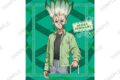 Dr.STONE アクリルパネル 石神千空
アニメイトで
2026年11月下旬発売 Dr.STONE アクリルパネル 石神千空
アニメイトで
2026年11月下旬発売