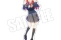五等分の花嫁* アクリルスタンド
2026年10月上旬発売
で取扱中 (アニメイト) 五等分の花嫁* アクリルスタンド
2026年10月上旬発売
で取扱中 (アニメイト)