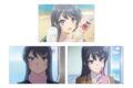 青春ブタ野郎シリーズ 桜島麻衣 場面写ポストカード3枚セット
2027年1月19日発売
で取扱中 青春ブタ野郎シリーズ 桜島麻衣 場面写ポストカード3枚セット
2027年1月19日発売
で取扱中