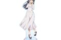 青春ブタ野郎シリーズ 描き下ろし 牧之原翔子 海での思い出ver. BIGアクリルスタンド
2027年1月19日発売
で取扱中 青春ブタ野郎シリーズ 描き下ろし 牧之原翔子 海での思い出ver. BIGアクリルスタンド
2027年1月19日発売
で取扱中